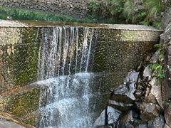 -大奇山国家森林公园