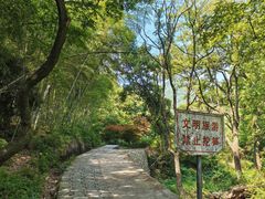 -北仑森林植物园