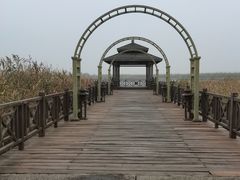 -宁波杭州湾国家湿地公园