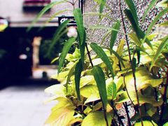-思南书局(复兴中路店)