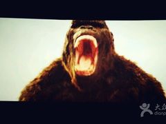 -AMG海上明珠影城(上海环球港RealDCinema店)