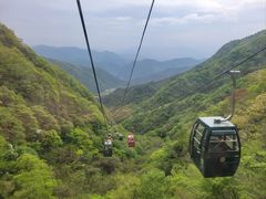 -王顺山国家森林公园