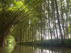 -桤木河湿地公园