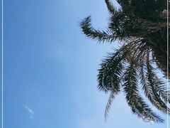 -玫瑰海岸文化旅游度假区