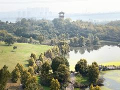 -张坝桂圆林公园