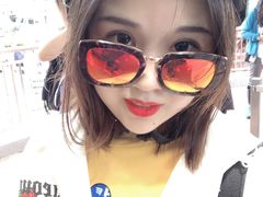 -圣淘沙天际线斜坡滑车