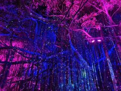 -胡里山炮台