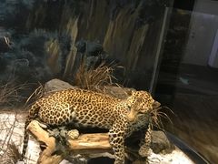 -陕西自然博物馆