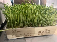 -湊湊火锅·茶憩(南京万象天地店)