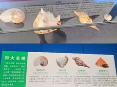 -上海海洋大学鱼文化博物馆(军工路校区)