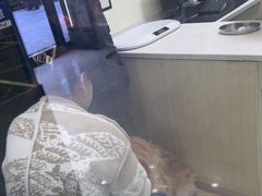 -天宠宠物医院24小时·急重症诊疗中心·全科·腔镜特色(和平分院)