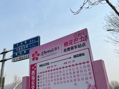 -桃花堤公园