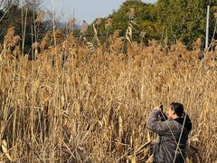-长田漾湿地公园