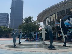 -海合安成都极地海洋公园