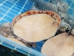 -宾朋海鲜美食特色餐厅·纯手工鲅鱼水饺(兴海路店)