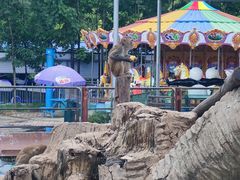 -沈阳森林动物园