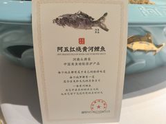 -阿五黄河大鲤鱼(英协路店)