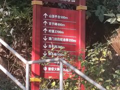 -珠海圆明新园