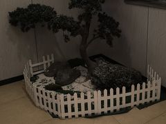 -侬佳蒸菜馆(听潮店)