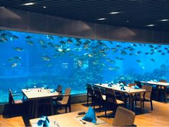 大堂-海棠湾洲际-涛·海底餐厅·龙虾·牛排·美人鱼