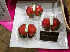 -阪急百货店(梅田总店)
