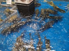 -盒马鲜生(龙德广场店)