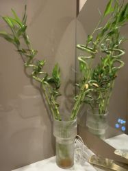 -Hi Beauty Skin 科技美肤中心