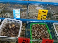 -渔民船说·北塘海鲜·天津菜·海肠捞饭(北塘古镇店)