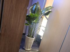-竹犇番茄火锅(长风街店)