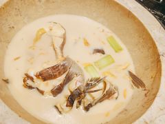 -云海肴云南菜·蒸汽石锅鱼(青岛万象城店)