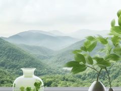 -麦当劳(普陀香溢花城店)