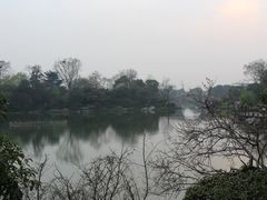 -桃花岛景观公园