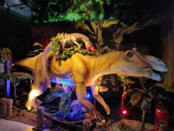 -恐龙探索乐园(磁器口店)