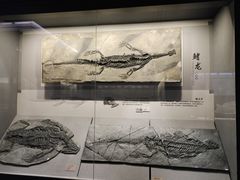 -贵州省地质博物馆