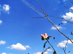 -昆山城市生态森林公园