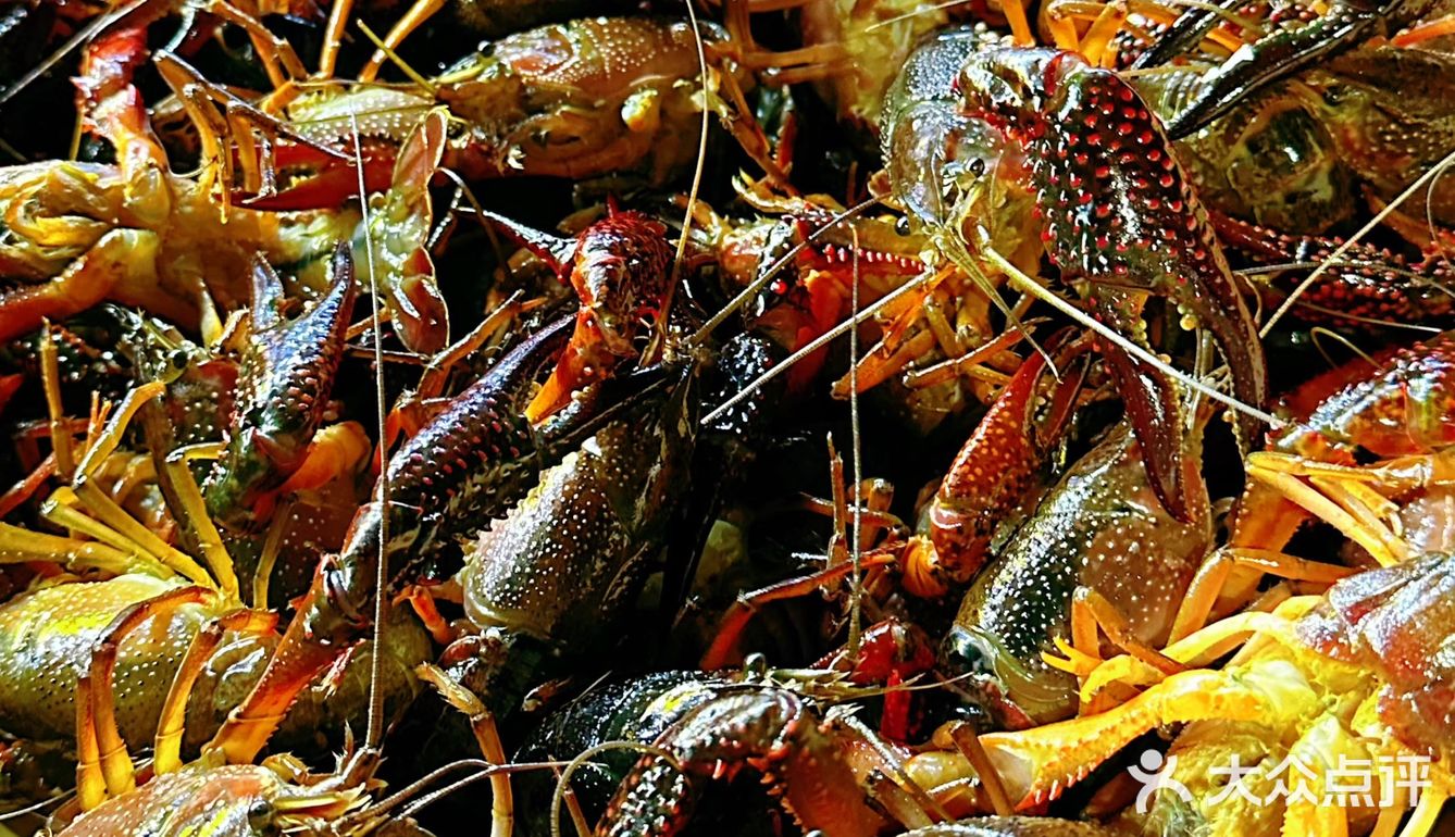 🔵蛮憨憨|我的2️⃣0️⃣2️⃣4️⃣年第一顿小龙虾‼️