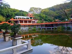 -深圳仙湖植物园