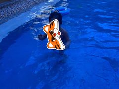 -东方雅典水疗美食汇(金海岸大厦店)