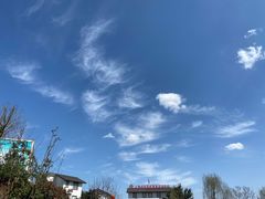 -空港花田景区