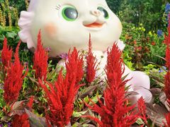 -国家植物园