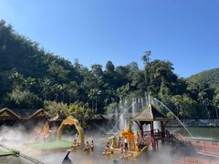 -西双版纳原始森林公园