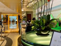 -广州白云机场雅高铂尔曼大酒店