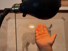 -浅行深作咖啡坊