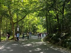 -东水关遗址公园