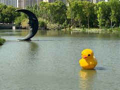 -昆山城市生态森林公园