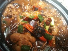 小鸡炖蘑菇-华馨园北京烤鸭