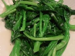 芥兰苗-中8楼风尚云南菜(颐堤港店)