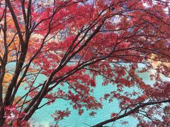 -叠溪松坪沟景区