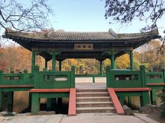 -灵谷景区