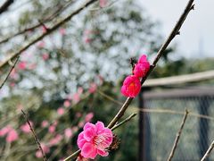 -北高峰